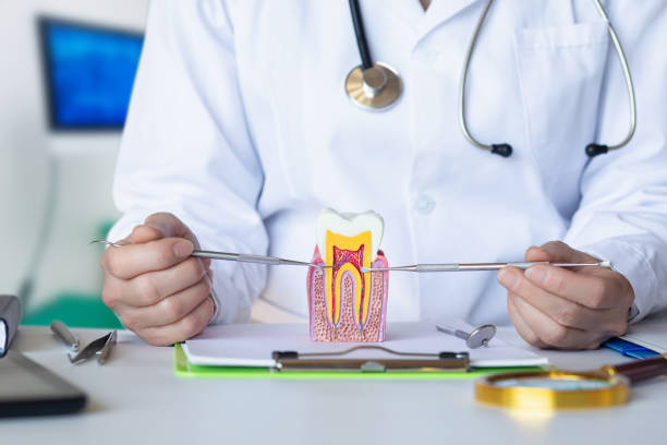 Best Emergency Dental Care for Broken or Chipped Teeth in Salina, OK